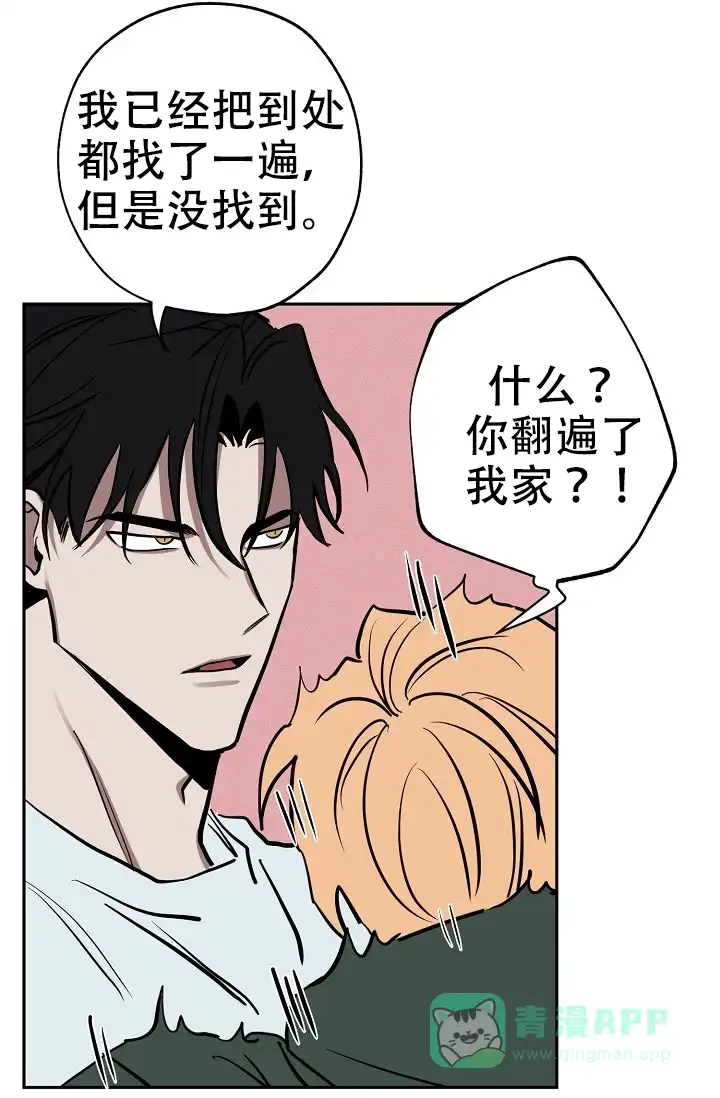 《金星的轨迹》第20话 第21页