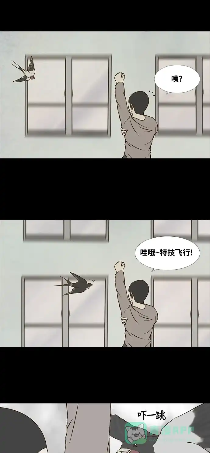 《禁曜日》归天 第13页