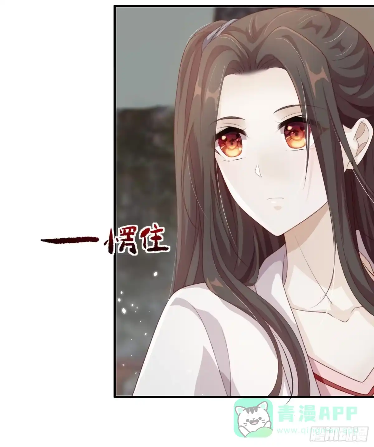 《锦阵花营》第21话—临泽府相聚 第51页