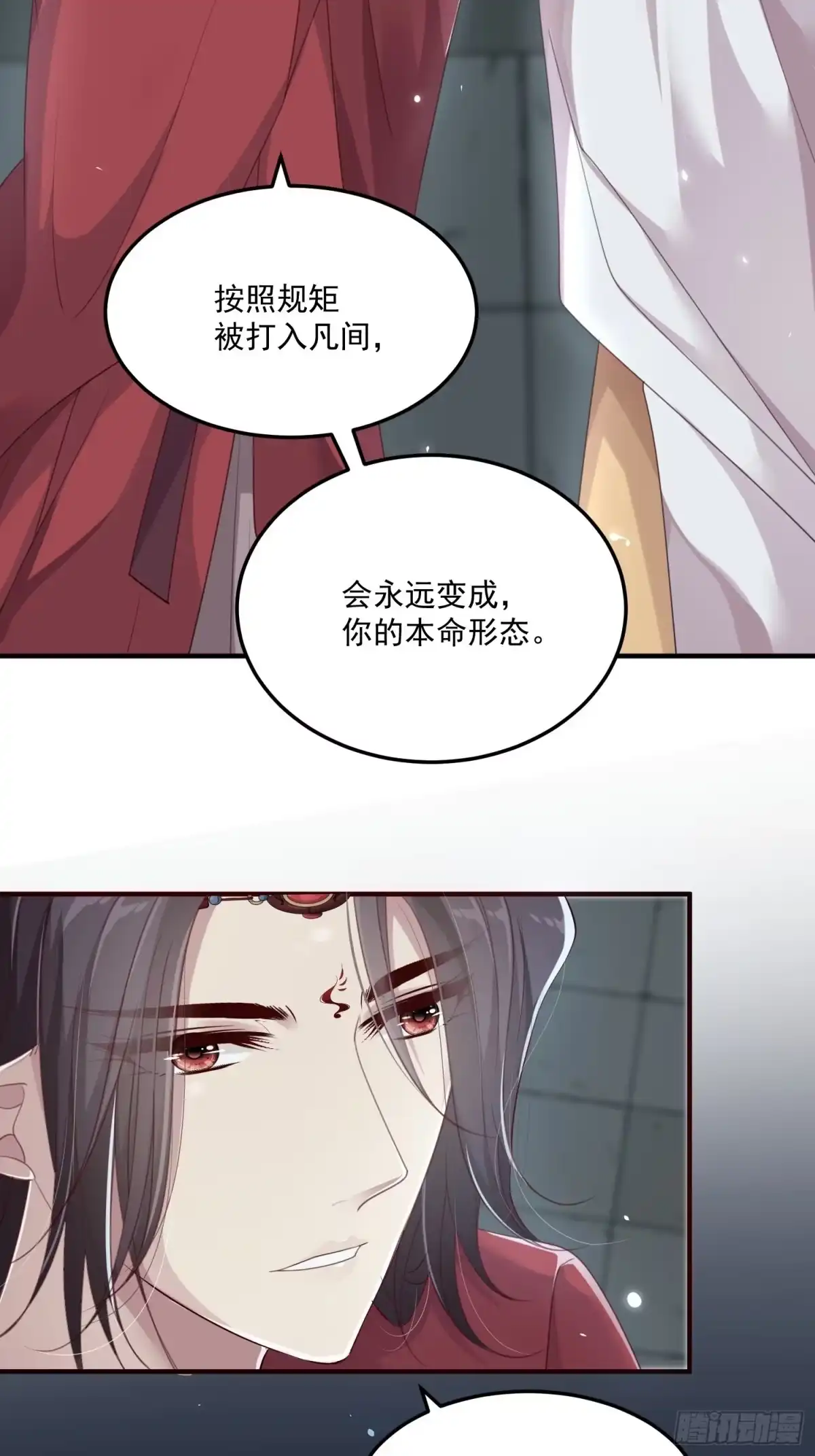 《锦阵花营》第24话— 第43页