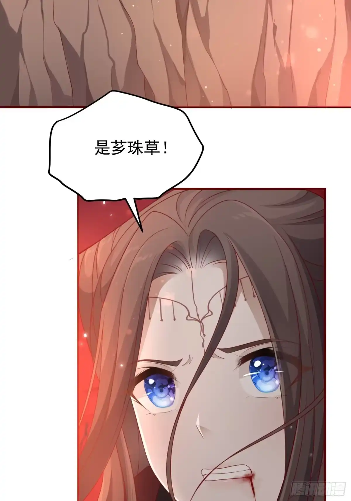 《锦阵花营》第41话—清瑶的回忆 第43页