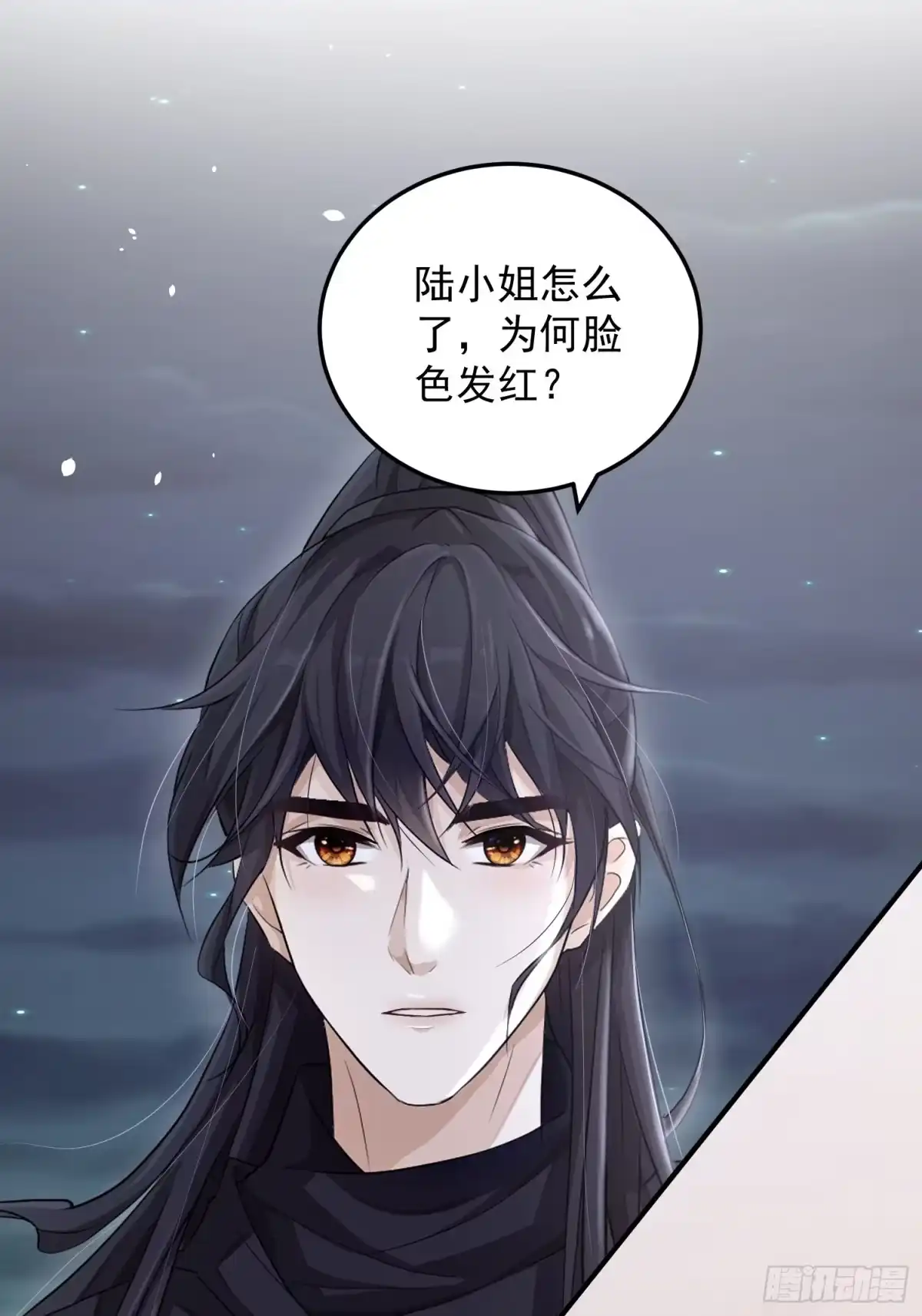 《锦阵花营》第六话-入府之夜（下） 第3页