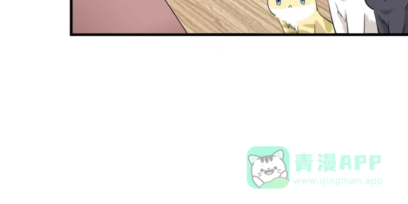 《救命，我的男票是妖怪！》第100话 我的猫居然喜欢他？ 第51页