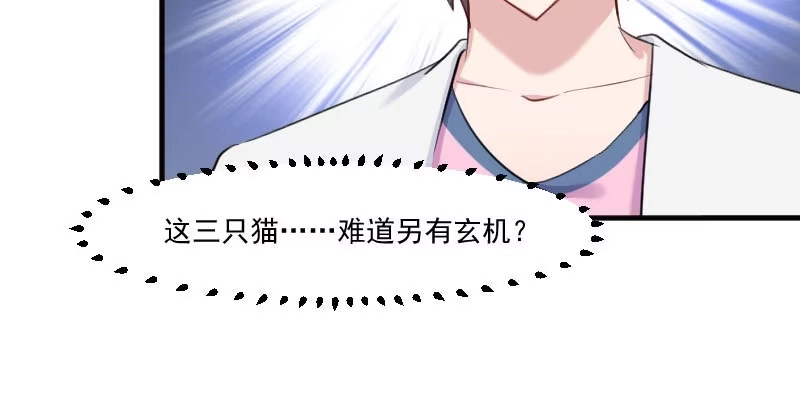 《救命，我的男票是妖怪！》第100话 我的猫居然喜欢他？ 第72页
