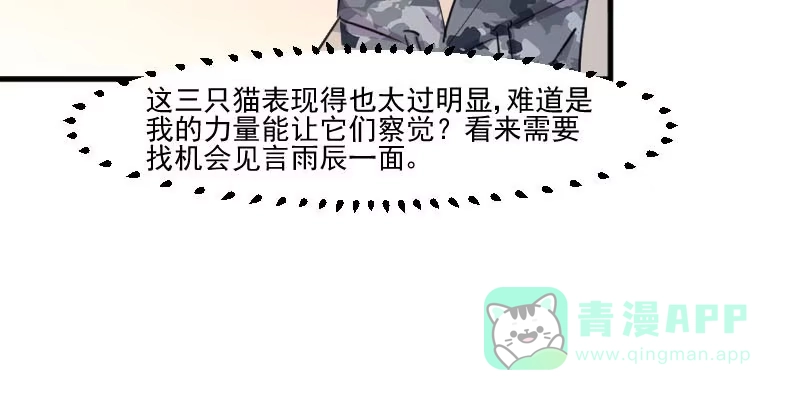 《救命，我的男票是妖怪！》第103话 照顾她的猫 第36页