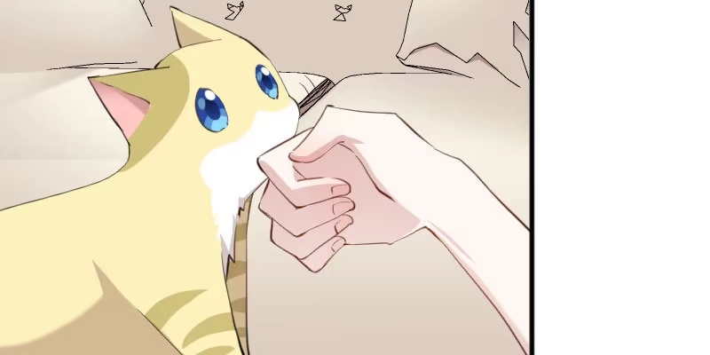 《救命，我的男票是妖怪！》第104话 猫身上的秘密 第34页