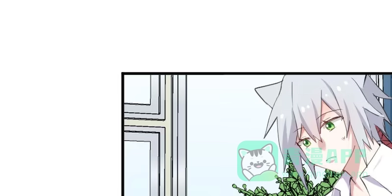 《救命，我的男票是妖怪！》第104话 猫身上的秘密 第31页