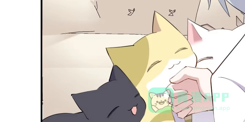 《救命，我的男票是妖怪！》第104话 猫身上的秘密 第36页