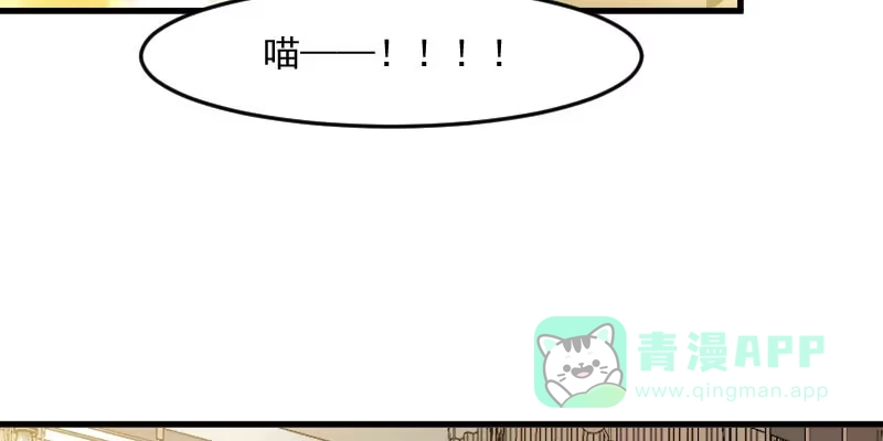 《救命，我的男票是妖怪！》第120话 超豪华的猫屋！ 第11页