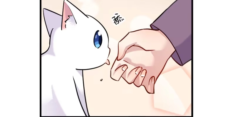 《救命，我的男票是妖怪！》第124话 三只小猫的冒险章 第50页