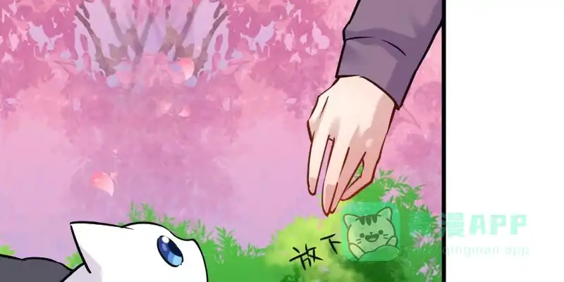 《救命，我的男票是妖怪！》第124话 三只小猫的冒险章 第56页
