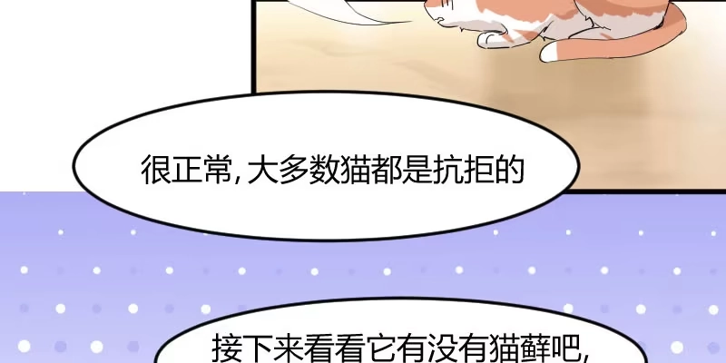 《救命，我的男票是妖怪！》第16话 夺取神石项圈 第28页