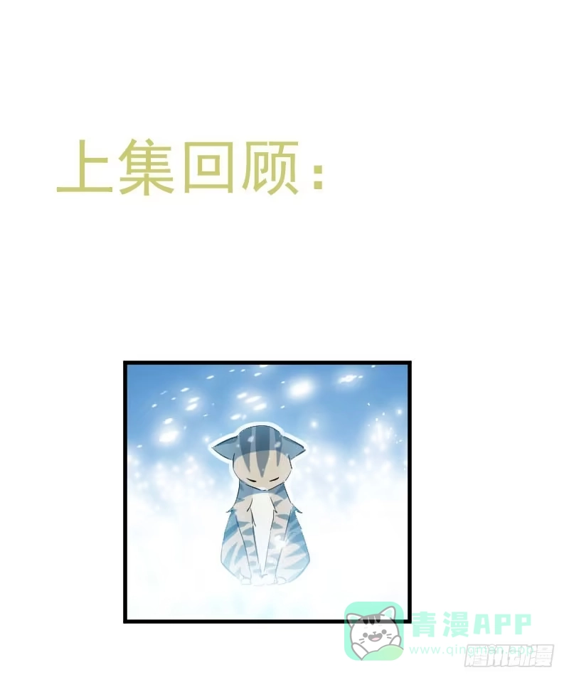 《救命，我的男票是妖怪！》第17话 猫很活泼很健康 第1页