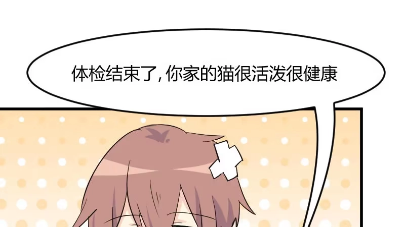 《救命，我的男票是妖怪！》第17话 猫很活泼很健康 第22页