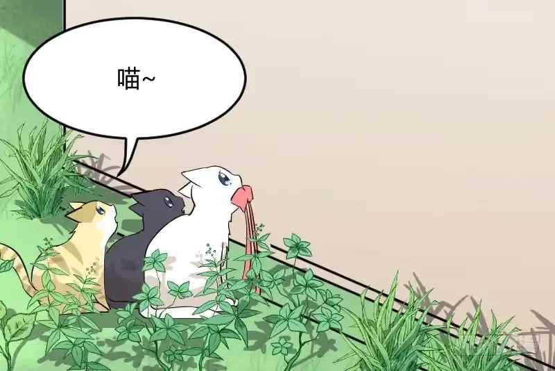 《救命，我的男票是妖怪！》第18话 初见 第33页