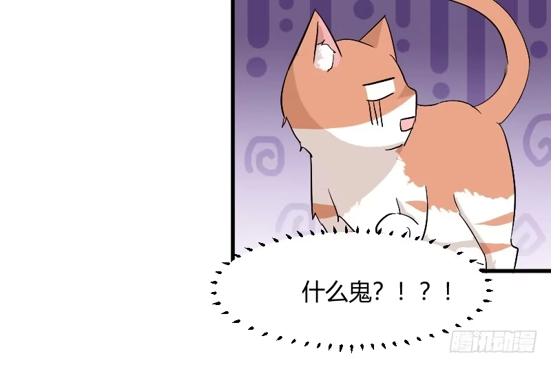 《救命，我的男票是妖怪！》第18话 初见 第4页