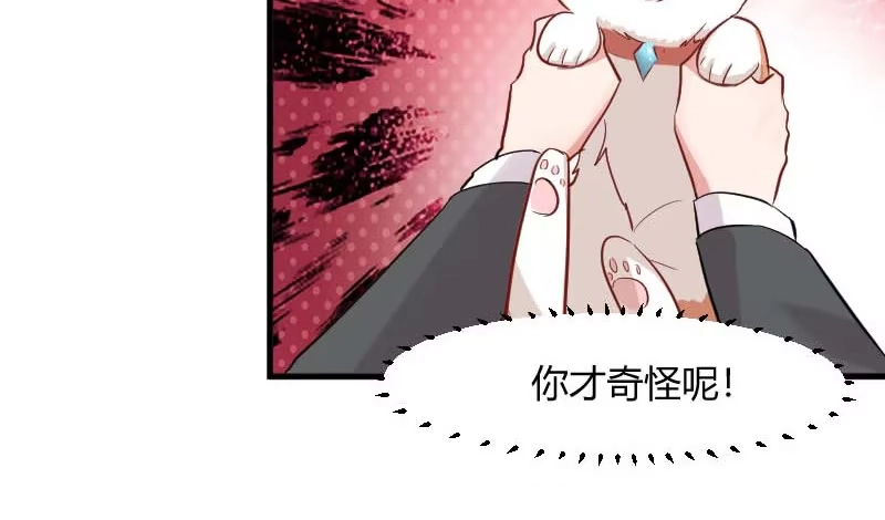 《救命，我的男票是妖怪！》第22话 撸猫不成反被挠 第23页