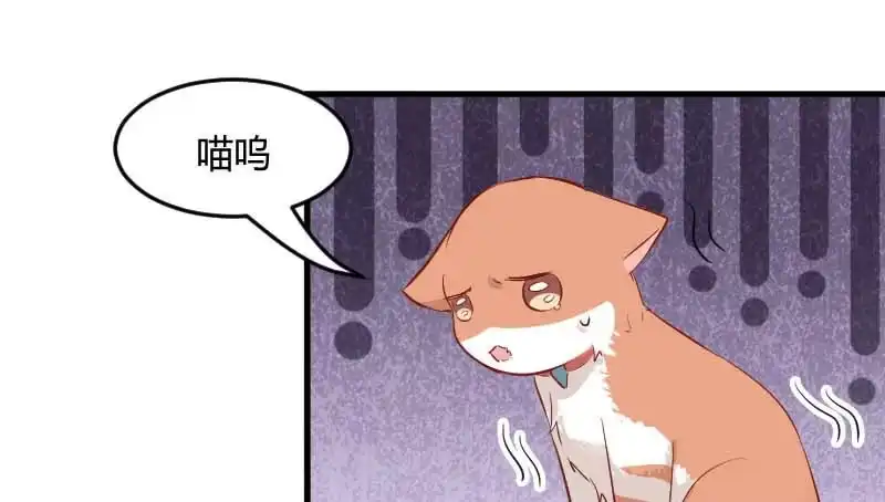 《救命，我的男票是妖怪！》第22话 撸猫不成反被挠 第37页