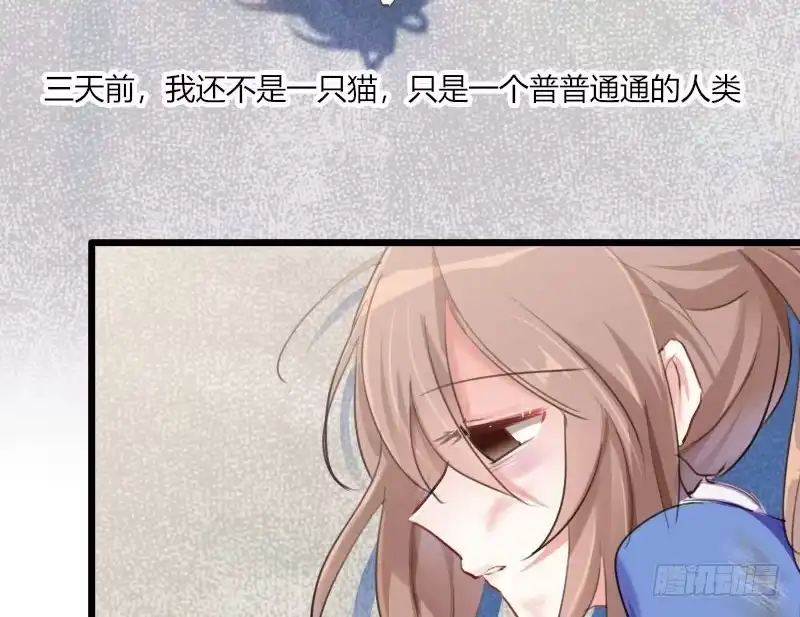 《救命，我的男票是妖怪！》第2话 天降喵神？ 第7页