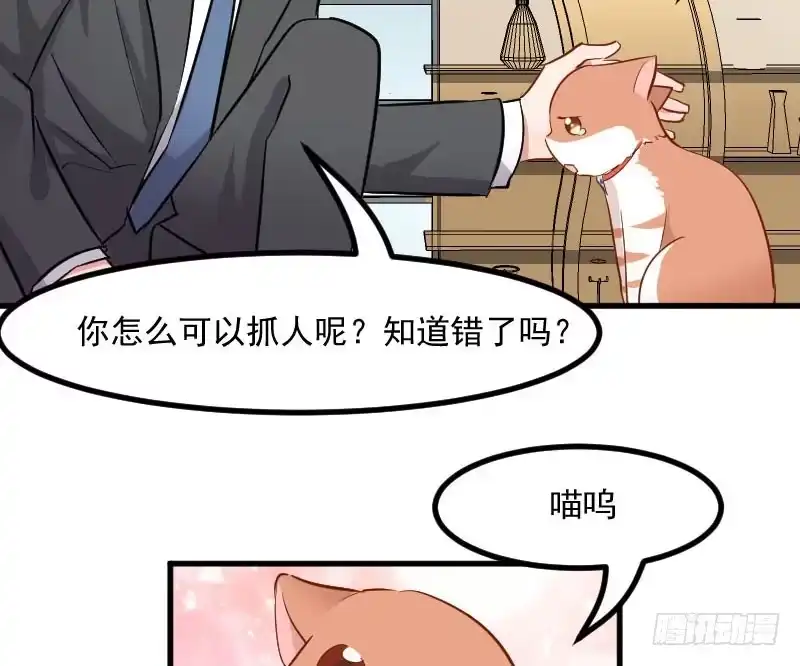 《救命，我的男票是妖怪！》第30话 谁会怪你橘呢 第23页