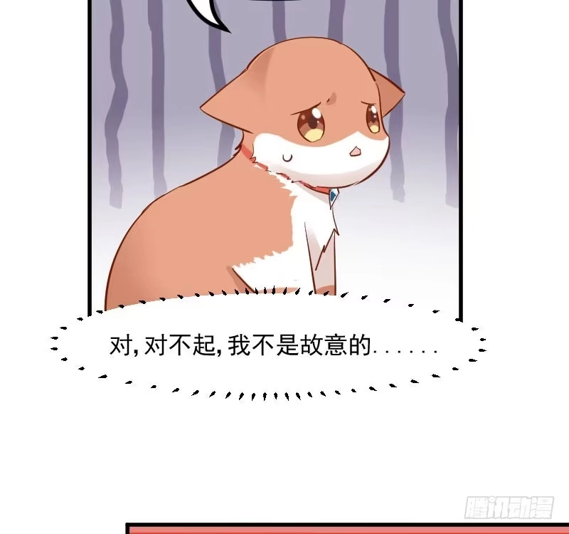《救命，我的男票是妖怪！》第30话 谁会怪你橘呢 第5页