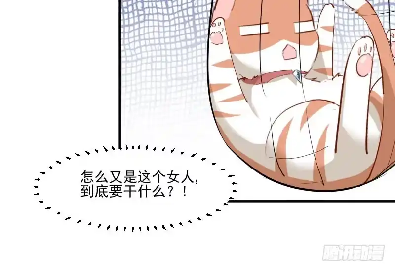 《救命，我的男票是妖怪！》第37话 被欺负了 第47页