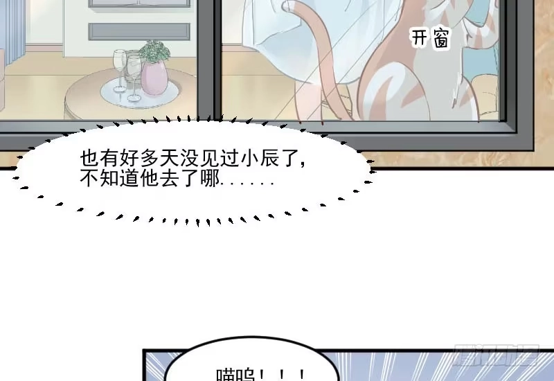 《救命，我的男票是妖怪！》第37话 被欺负了 第42页