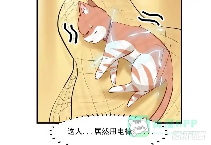 《救命，我的男票是妖怪！》第37话 被欺负了 第56页