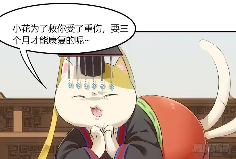 《救命，我的男票是妖怪！》第3话 悲惨的喵生 第7页