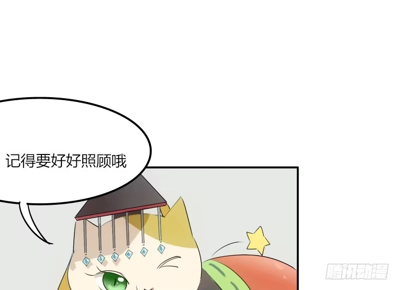 《救命，我的男票是妖怪！》第3话 悲惨的喵生 第15页
