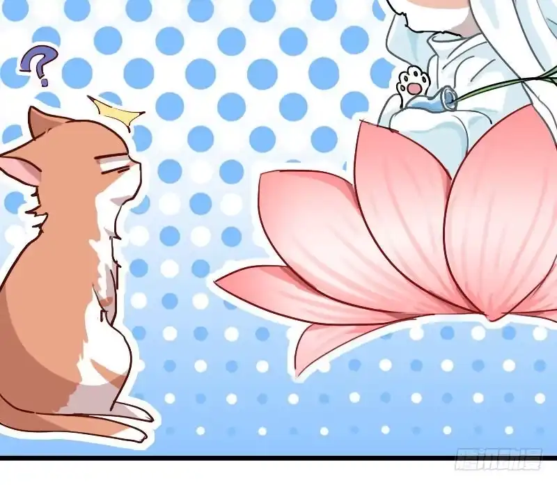 《救命，我的男票是妖怪！》第3话 悲惨的喵生 第53页