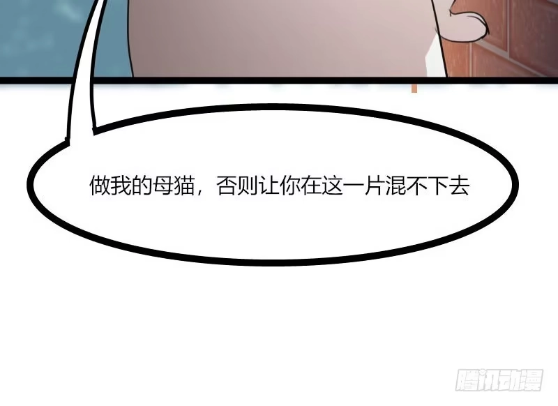 《救命，我的男票是妖怪！》第3话 悲惨的喵生 第40页