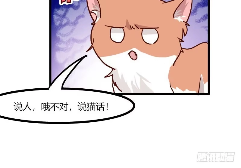 《救命，我的男票是妖怪！》第3话 悲惨的喵生 第47页