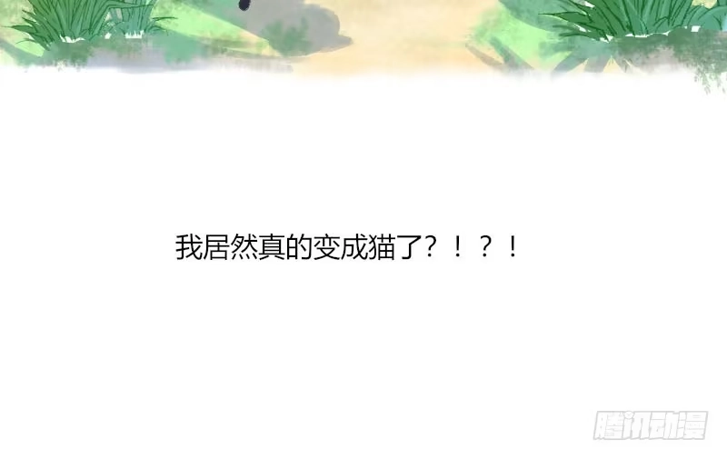 《救命，我的男票是妖怪！》第3话 悲惨的喵生 第27页