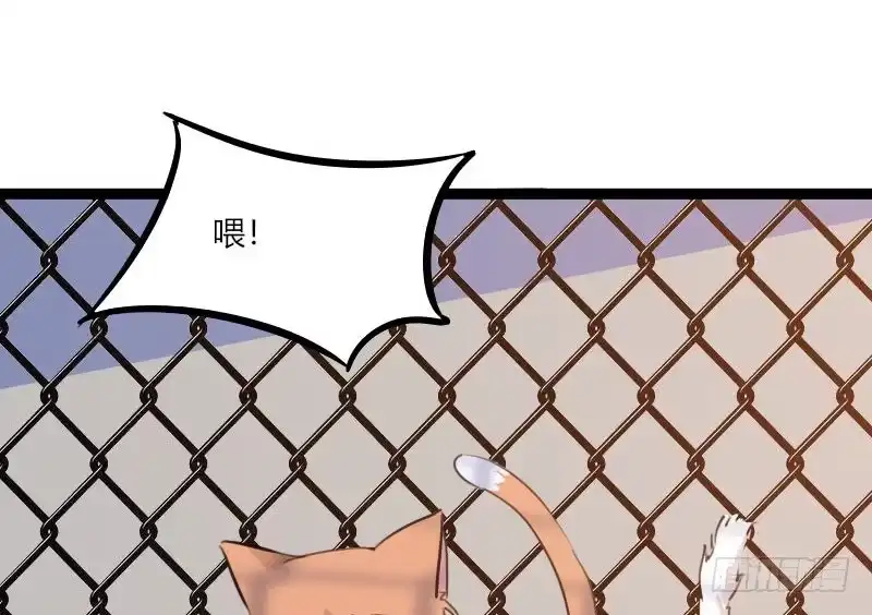 《救命，我的男票是妖怪！》第3话 悲惨的喵生 第30页