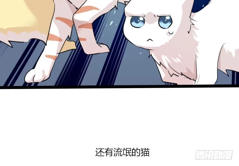 《救命，我的男票是妖怪！》第3话 悲惨的喵生 第37页