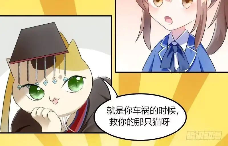 《救命，我的男票是妖怪！》第3话 悲惨的喵生 第9页