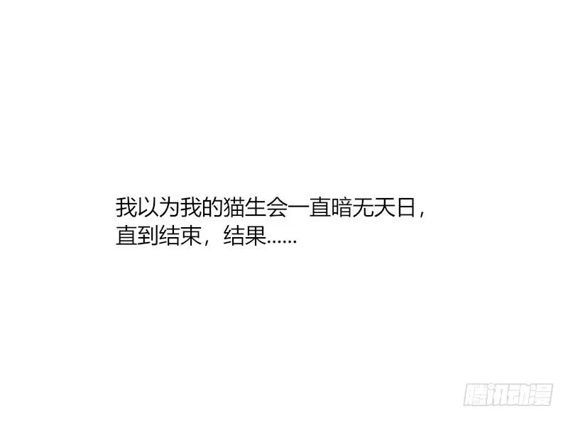 《救命，我的男票是妖怪！》第3话 悲惨的喵生 第43页
