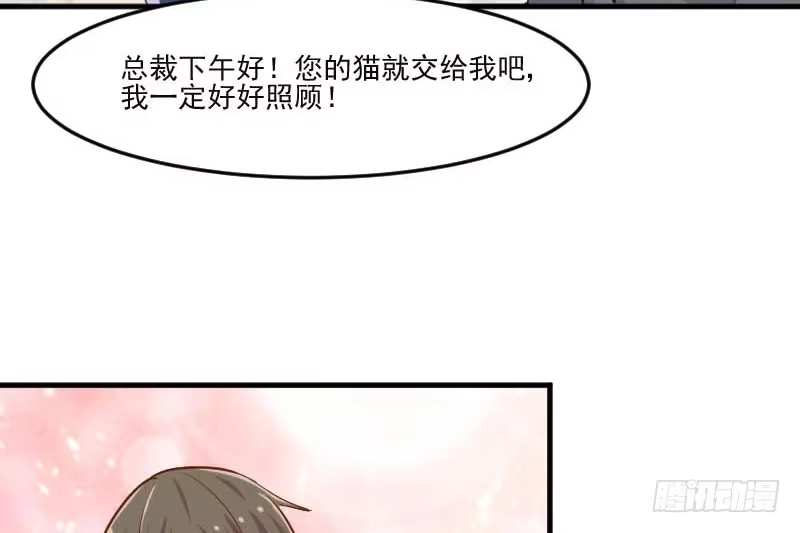《救命，我的男票是妖怪！》第39话 不许摸我的猫！ 第39页