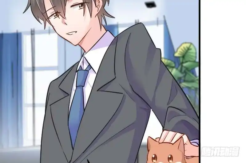 《救命，我的男票是妖怪！》第39话 不许摸我的猫！ 第34页