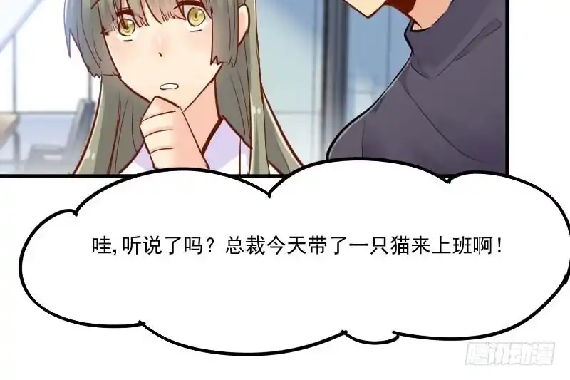 《救命，我的男票是妖怪！》第39话 不许摸我的猫！ 第15页