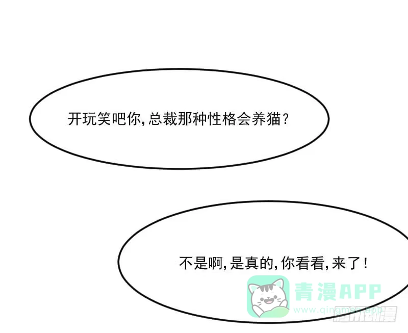 《救命，我的男票是妖怪！》第39话 不许摸我的猫！ 第16页