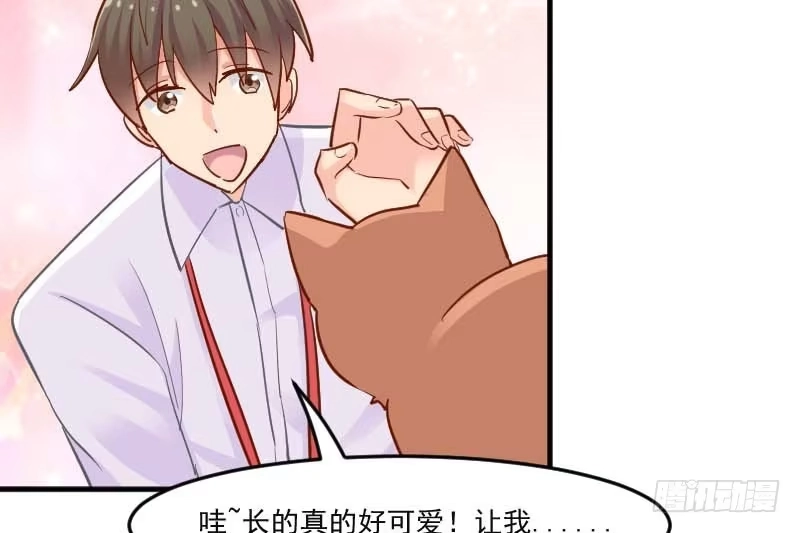 《救命，我的男票是妖怪！》第39话 不许摸我的猫！ 第40页