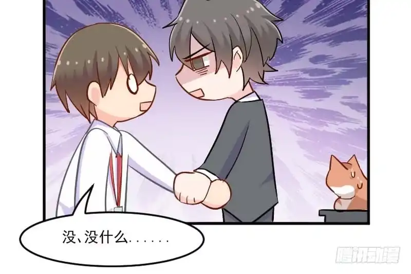《救命，我的男票是妖怪！》第39话 不许摸我的猫！ 第43页