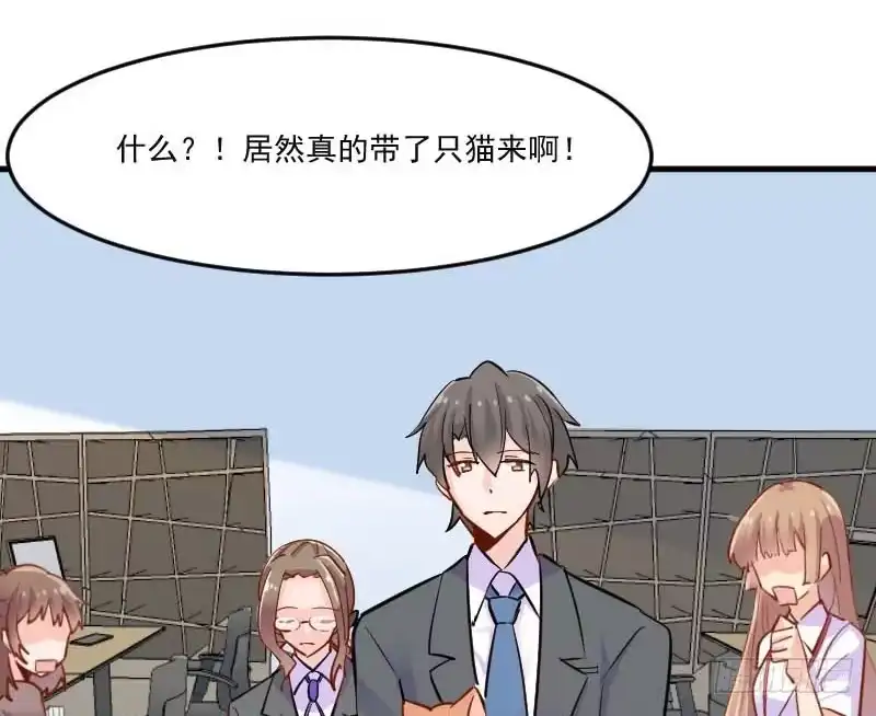 《救命，我的男票是妖怪！》第39话 不许摸我的猫！ 第17页