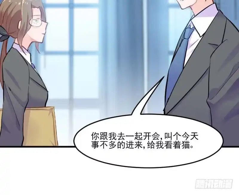 《救命，我的男票是妖怪！》第39话 不许摸我的猫！ 第27页