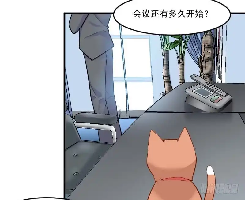 《救命，我的男票是妖怪！》第39话 不许摸我的猫！ 第25页