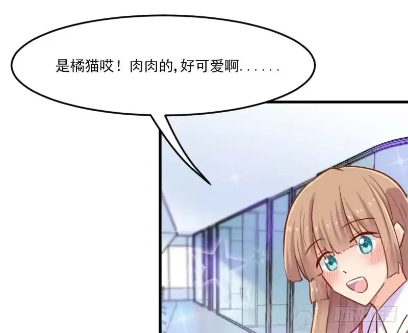 《救命，我的男票是妖怪！》第39话 不许摸我的猫！ 第19页