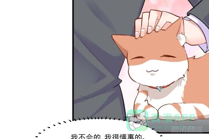 《救命，我的男票是妖怪！》第39话 不许摸我的猫！ 第36页