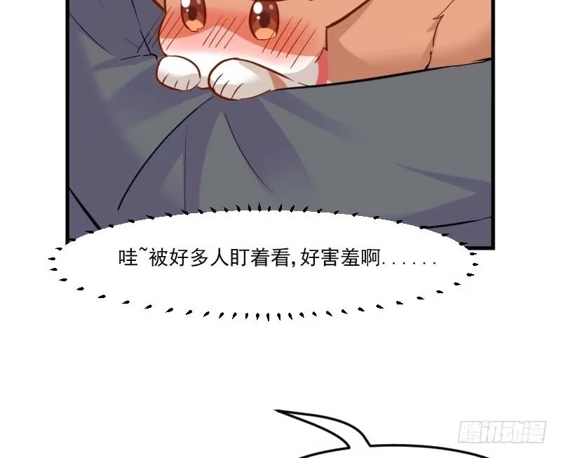 《救命，我的男票是妖怪！》第39话 不许摸我的猫！ 第24页